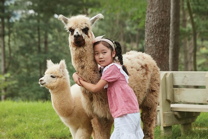 Alpaca World & Suspension Bridge Day Tour With Luge Ride - Tour Details and Itinerary