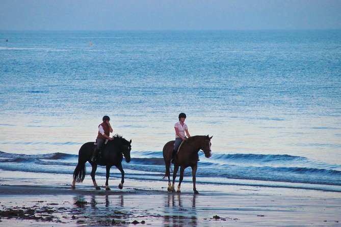 Amazing Private Tour: Horse Riding-Kintamani Volcano-Tegalalang-Tirta Empul - Directions and Tips
