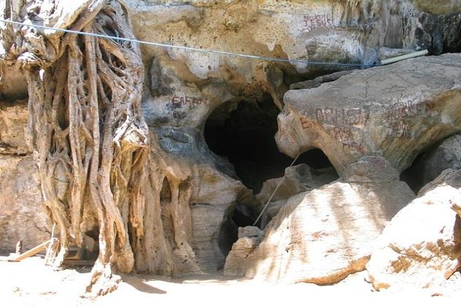Amboni Caves Tours (Taste of Tanga) From Tanga City (4-5 Hrs) - Cultural Insights and Experiences