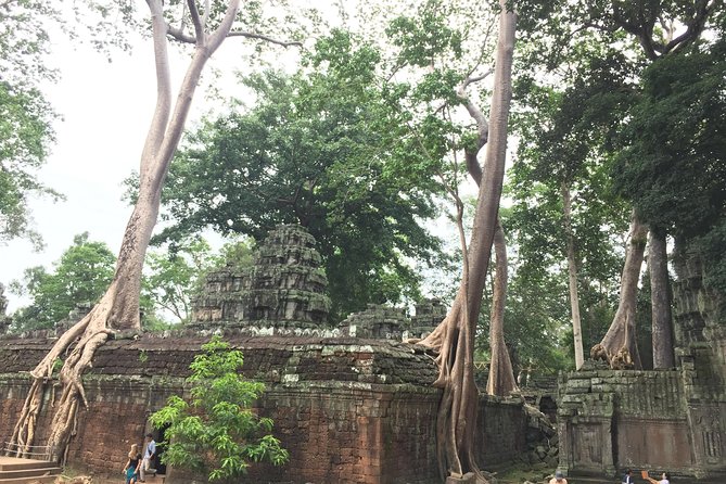 Angkor Wat Avoid Crowd Private Bike Tour - Cancellation Policy