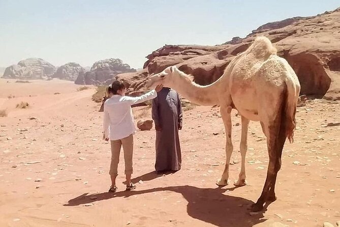 Aqaba Port to Wadi Rum Private Transfer - Booking Process