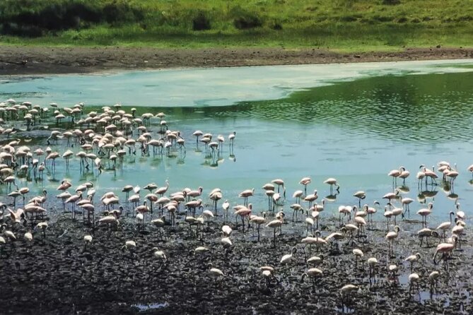 Arusha National Park ( Day Trip ) - Directions and Location