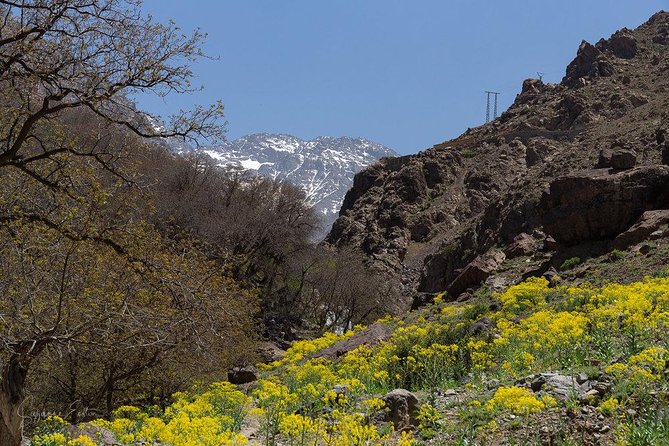 Atlas Mountains Active Mountain-Biking Holiday - 8 Days - Safety Precautions