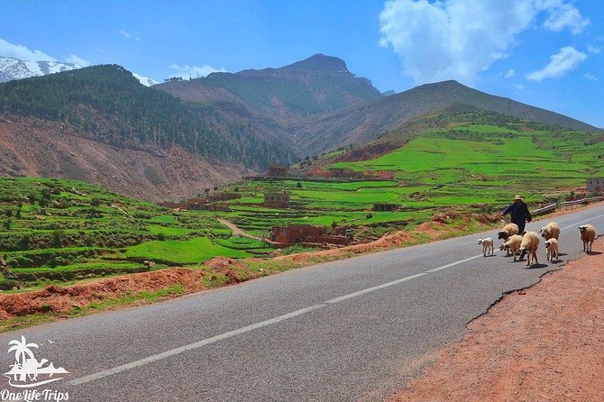 Atlas Mountains and Three Valleys & Waterfalls: Guided Day Trip From Marrakech - Participant Requirements