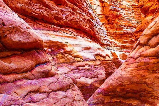 ATV Quad & Blue Hole Canyon by Bus With Camel Ride, BBQ Lunch in Sharm El Sheikh - What to Bring
