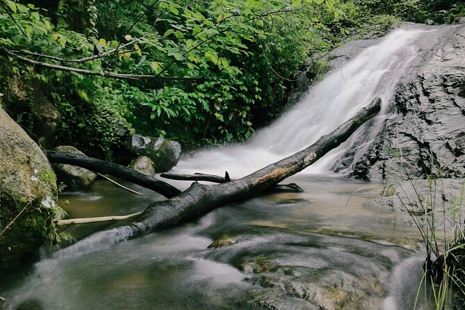 Aural Mountain Trek: Cambodia Tallest Peak Challenge - Participant Requirements and Recommendations