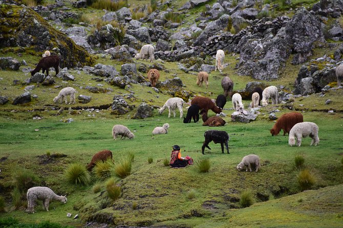 Ausangate Trek 3D/2N - Packing Essentials