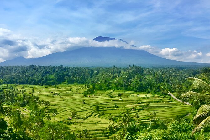 Ayung River Rafting and Kintamani Volcano, Besakih Temple Tour - Pickup Service and Refund Policy