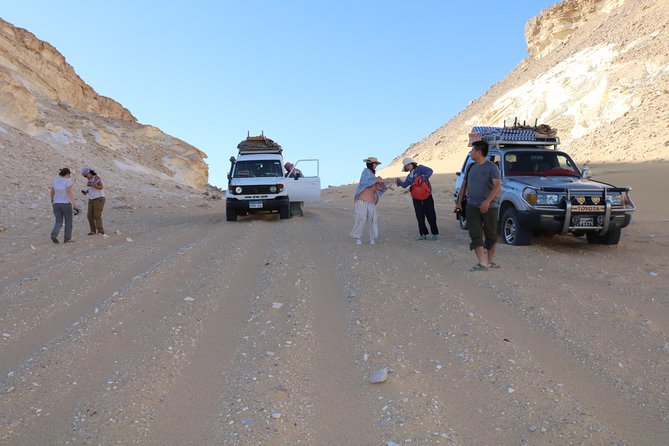 Bahariya Oasis: Desert Tour Package 2 Nights / 3 Days From Cairo - Accessibility Features