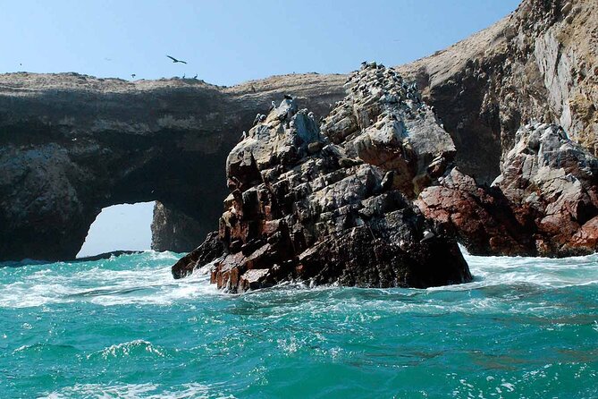 Ballestas Islands, Ica and Huacachina Tour From Lima All Included - Tour Highlights and Activities