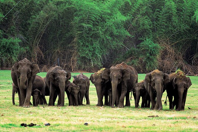 Bangalore to Cochin Natural and Cultural Sites Tour - Pickup and Logistics
