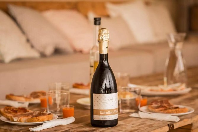 Barcelona Countryside Fullday Wine and Cava Tastings With Lunch - Customization Options