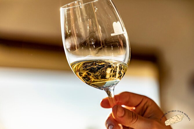 Basque Vineyard Visit: Txakoli Wine Tasting & Pintxos From Bilbao - Tips for a Great Experience