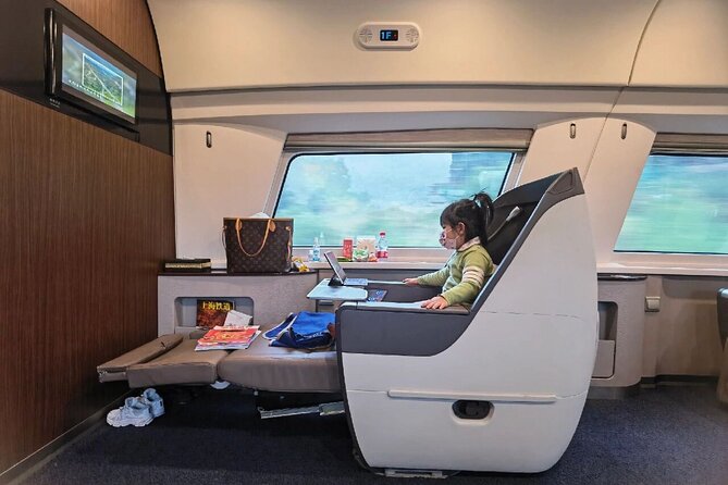 Beijing: to Xian Terracotta Day Tour by Roundtrip Bullet Train - Tour Inclusions