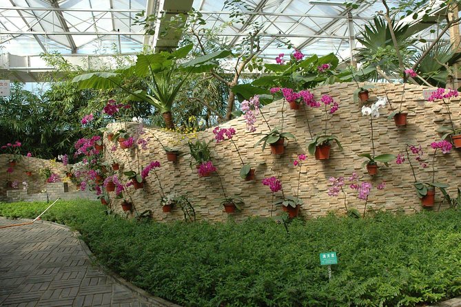 Beijing World Park and Flower Market Visiting With Private Driver Service - Reservation and Cancellation Policy