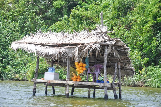 Bentota City Tour From Tangalle