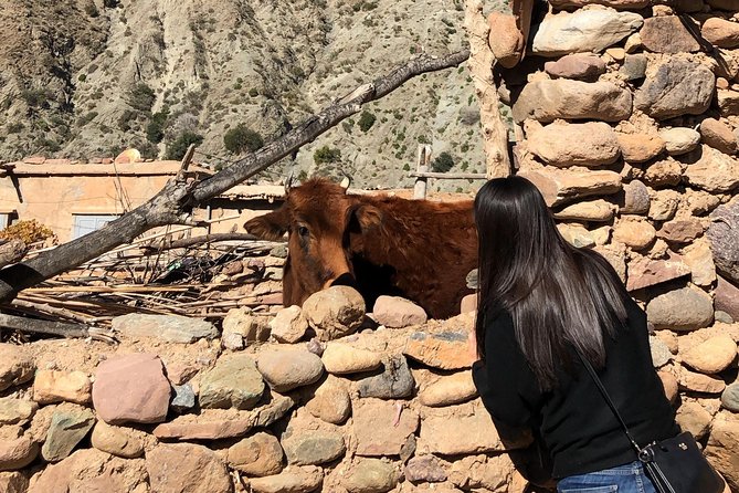 Berber Villages, Camel Ride & Tinmal Mosque Day Trip - Booking and Reservation Information