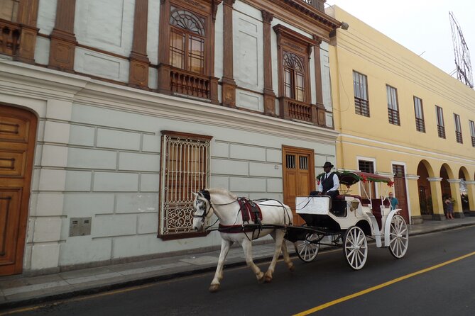 Best Experience & Private Lima City Walking Tour (Small Group) (Half Day) - Accessibility Information