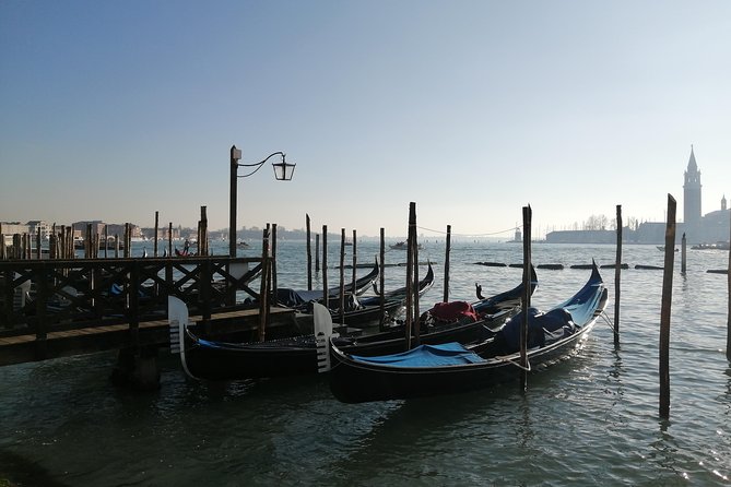 Best of Venice Small Group Tour With a Native Guide - Access Fee and Exemptions