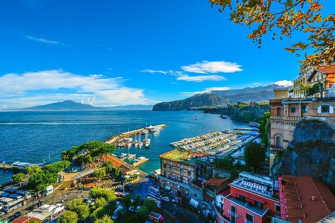 Best Tour of Sorrento+Pompeii+WineTasting (FullDay 8h) - Booking Information