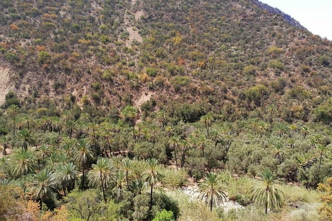 Best Trip : Half Day to Paradise Valley From Agadir - Pickup Logistics