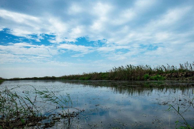 Bird Watching Tour at Nanji Hill Poyang Lake Nature Reserve From Nanchang - Inclusions