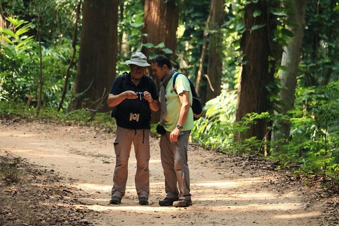 Birdwatching Trek in Kandy Udawatta Kele Forest Reserve - Safety Precautions