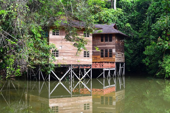 Borneo Tropical Rainforest Tour - What To Expect