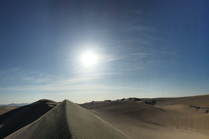 Buggy & Sandboard Adventure in Paracas - Experience Tips