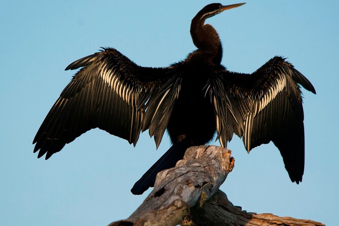 Bundala National Park Safari From Beruwala - Meeting and Pickup