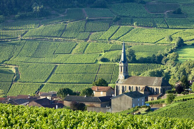 BURGUNDY : Wine Tasting & Visits- Private Day Trip From Paris - High-Speed TGV Travel