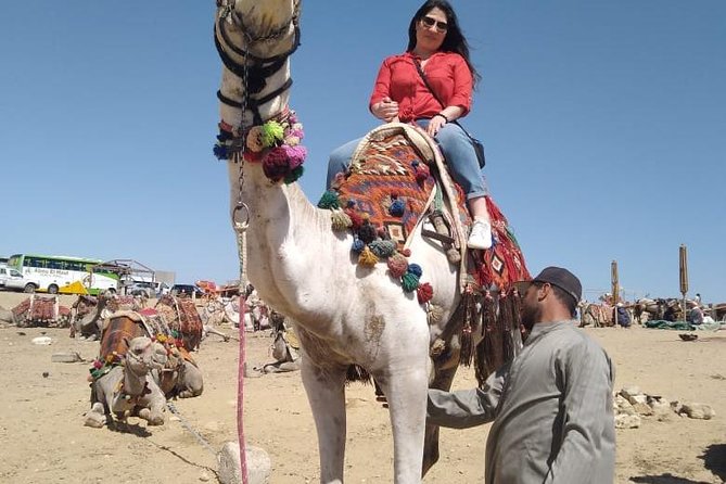 Cairo Layover Tours Giza Pyramids , Egyptian Museum and Bazaar - Additional Information