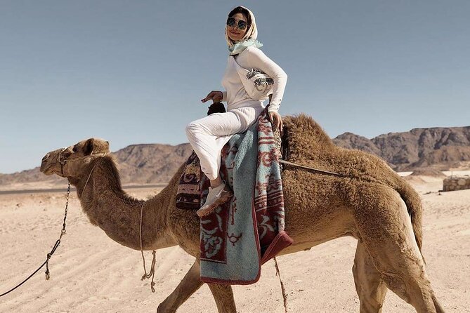 Camel Ride or Horse Around the Pyramids - Price Information