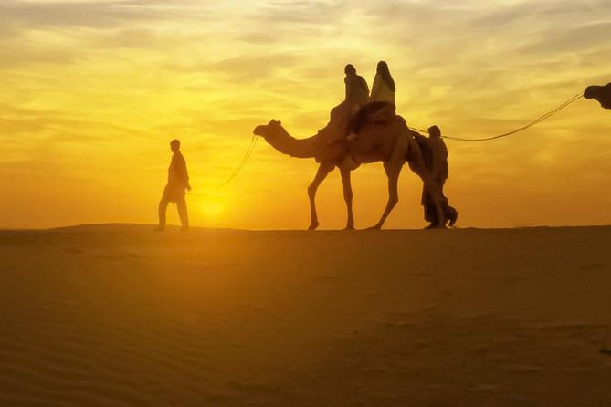 Camel Ride With Dinner in Marrakech Desert - Price & Booking