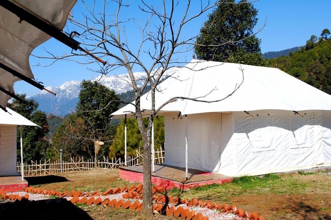 Camping in Bir Biling With Swiss Tent Stay - Frequently Asked Questions