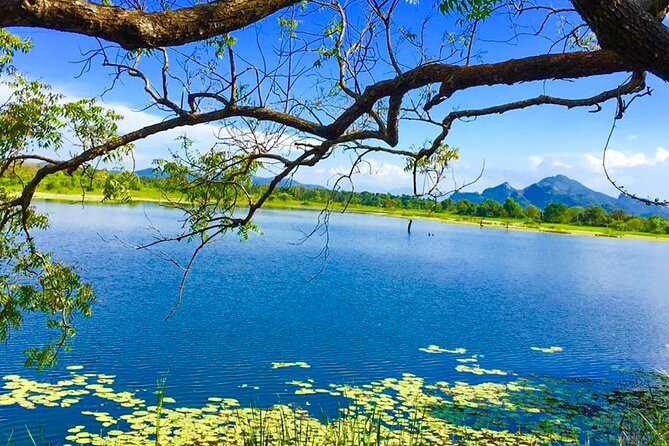Camping in Habarana - Booking Information