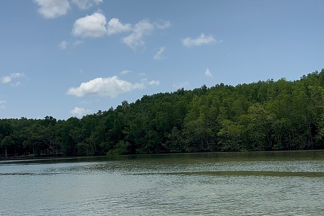 Can Gio Mangrove Forest And Thanh An Island Private Tour - Location and Directions