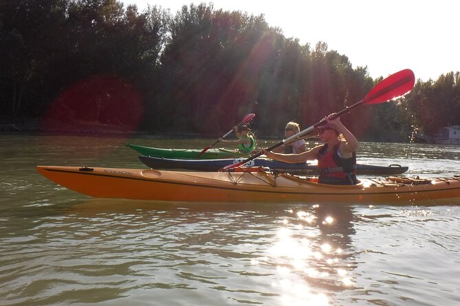 Canoe Trip With BBQ on Danube - Cancellation Policy