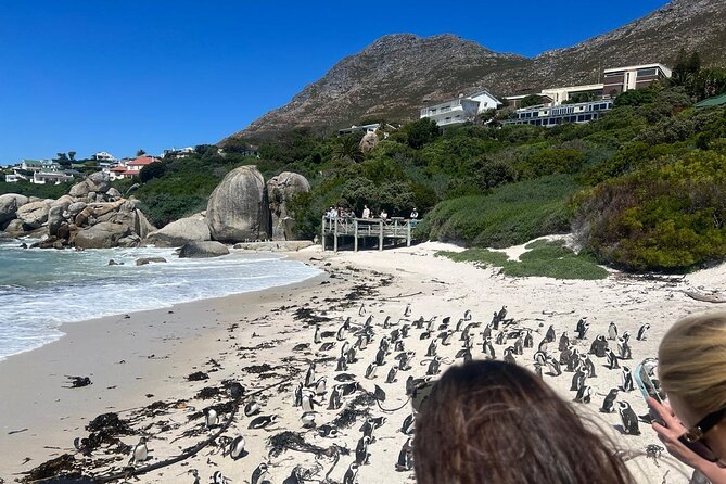 Cape of Good Hope and Boulder's Beach Penguins Private Day Tours - Pricing
