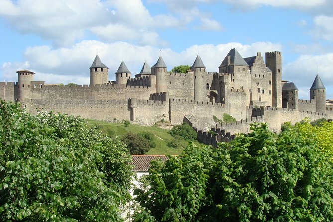 Carcassonne and Albi Private Sightseeing Tour From Toulouse - COVID-19 Safety Measures