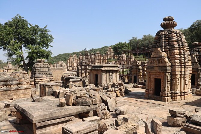 Chambal Boat Safari (Day Excursion From Agra) - Highlights of the Day Excursion