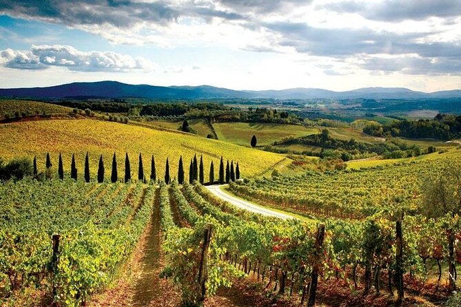 Chianti Vespa Tour - Pricing and Reservations