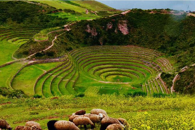 Chinchero - Maras - Moray (Full Day) - Private Tour - Booking Your Tour