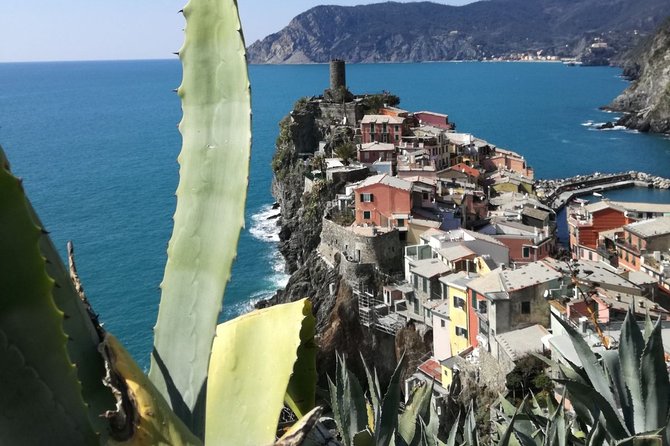 Cinque Terre With Vernazza Manarola and Corniglia From Livorno Cruise Port - Pricing and Group Size Variations