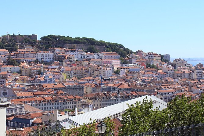 Combo Private Wine Tour With Street Arts in Lisbon - Operator Details