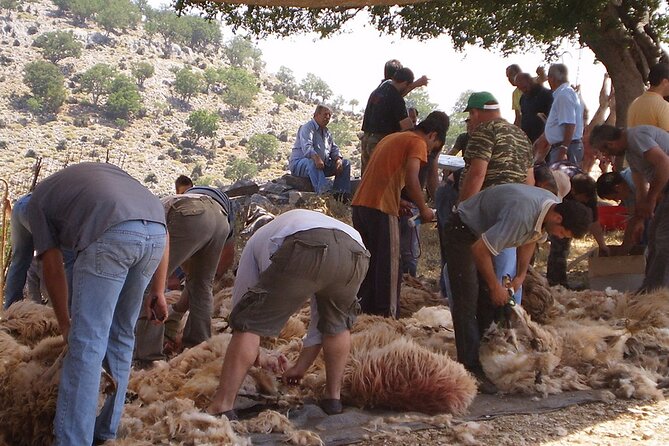 Cretan Odyssey: Immersive Cultural Journey to Shepherds Shelter - Booking Information