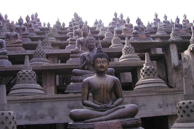 Cruise Ship Shore Excursions - Colombo Port - Colombo Buddhist Legend Tour - Additional Information