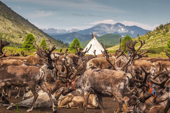Crystal Clear Khuvsgul Lake Tour 5 Days - Packing Tips