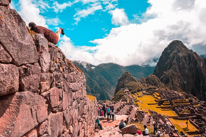 Cusco: Machu Picchu Tour With Voyager Train - Cancellation and Weather Policy