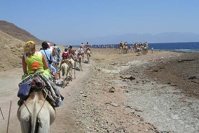 Dahab Day Tour & Snorkeling & ATV Quad Biking From Sharm - How to Book